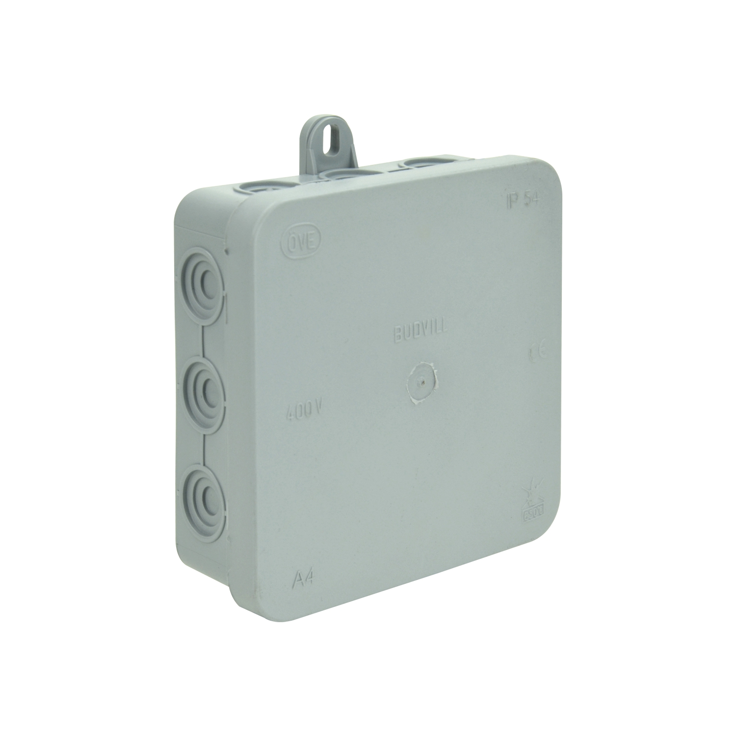 AP Abzweigkasten 100x100 IP54