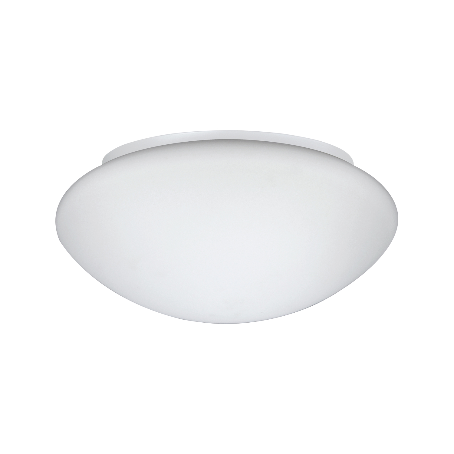 Opalglasleuchte OL3 300 15W IP44