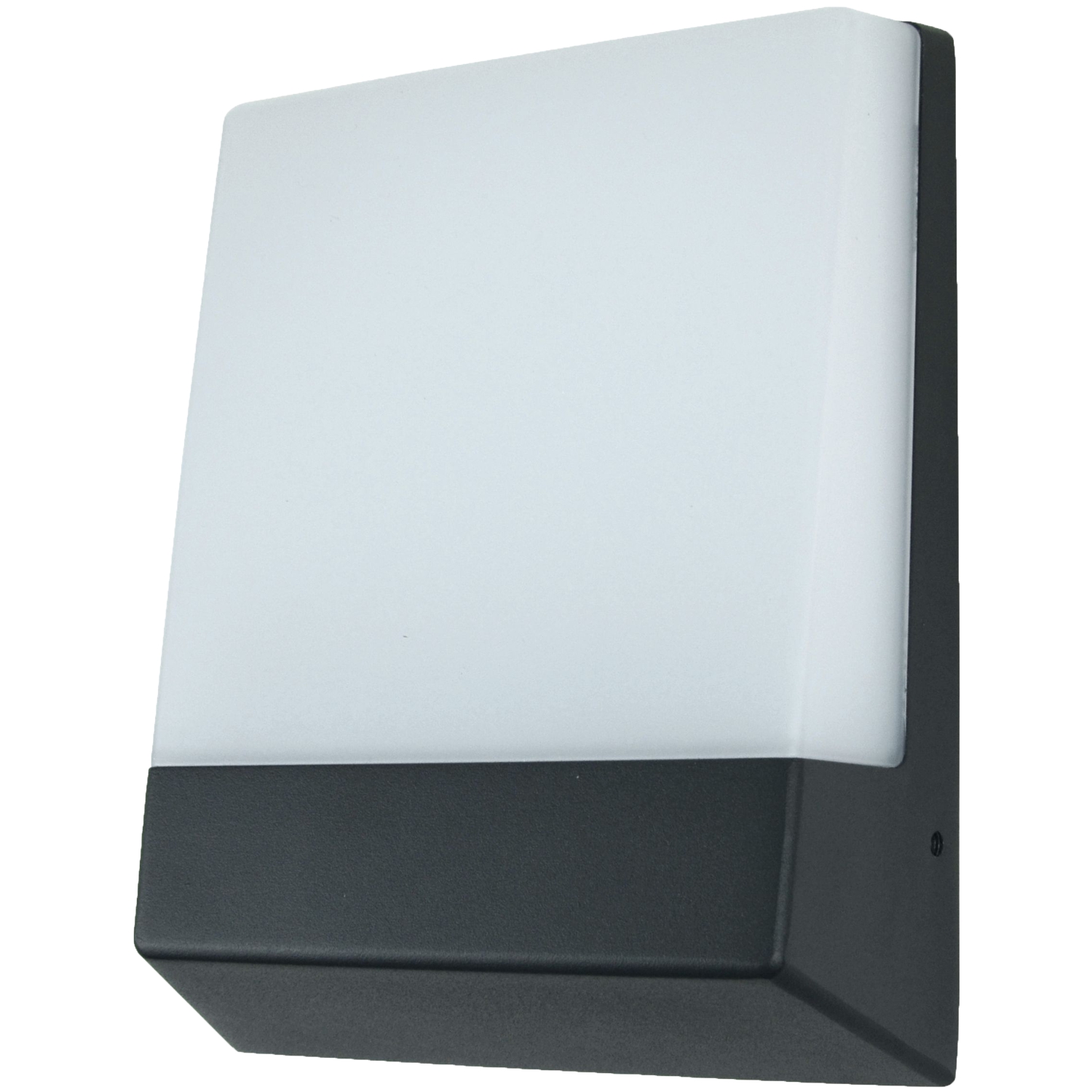 Wandleuchte eLUX 11W IP65