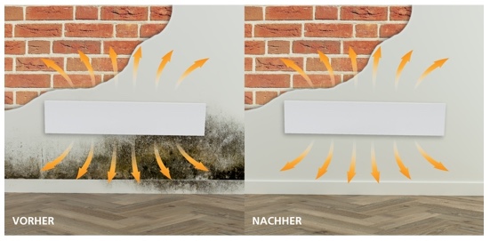 Schluss mit Schimmel