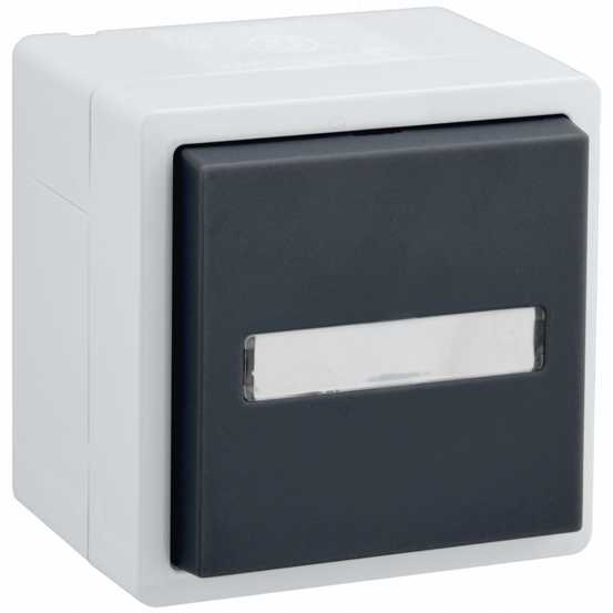 AP-FR Steckdose 1-fach VARIO21