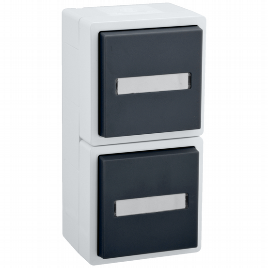 AP-FR Steckdose 2-fach senkrecht VARIO21