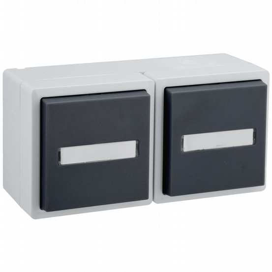 AP-FR Steckdose 2-fach waagrecht VARIO21